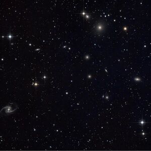 Meet your Posher, Kianna